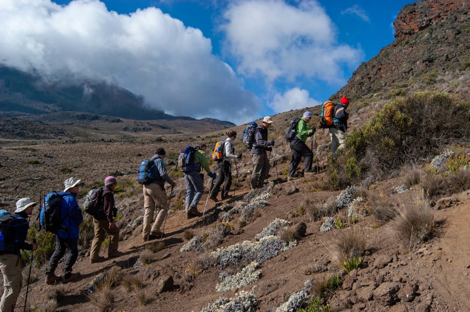Kilimanjaro image
