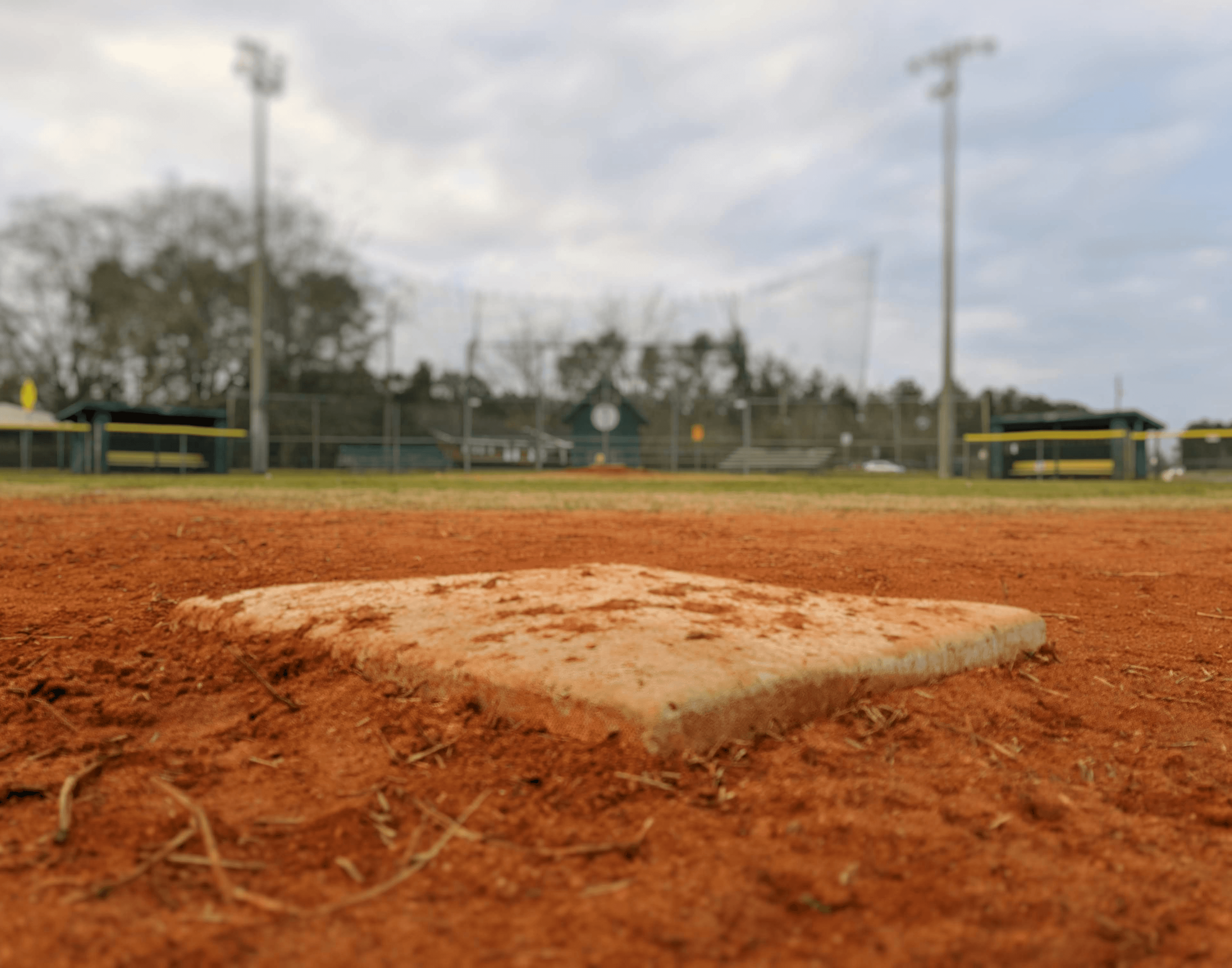 brown soil with brown dried leaves