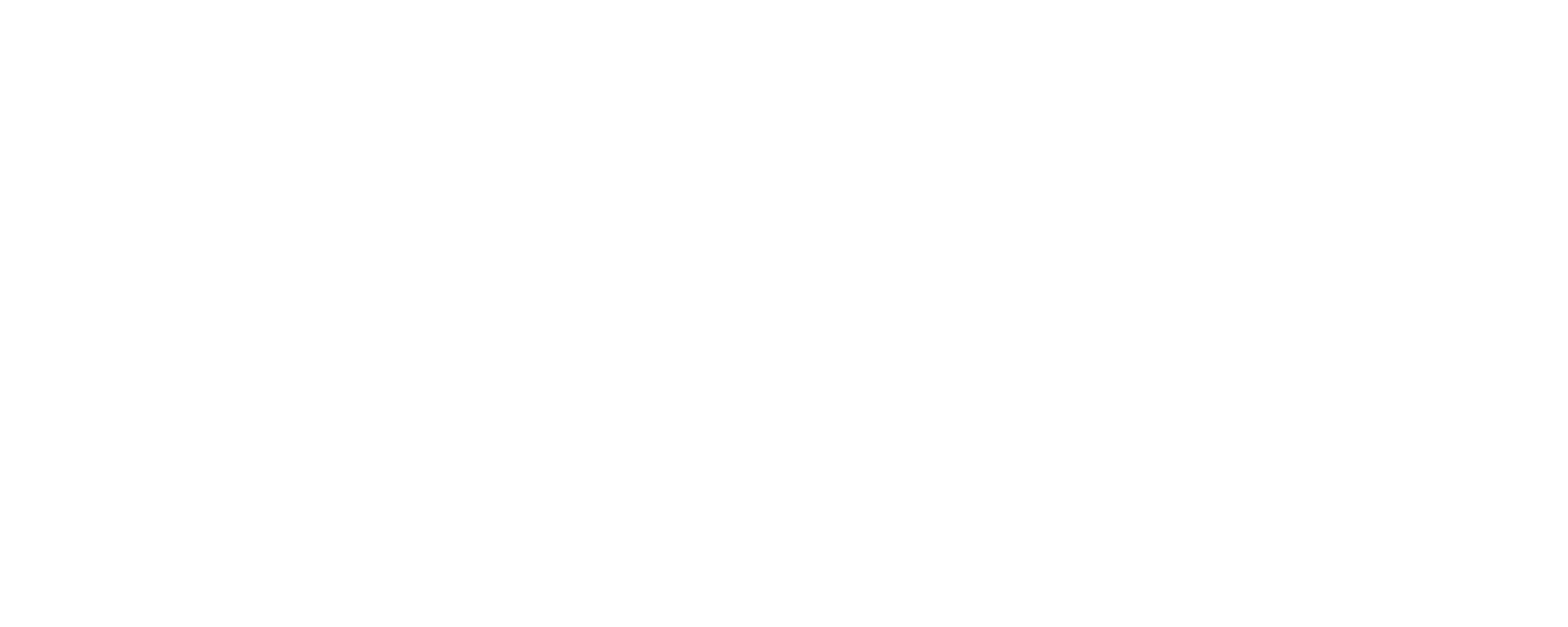 Main Logo