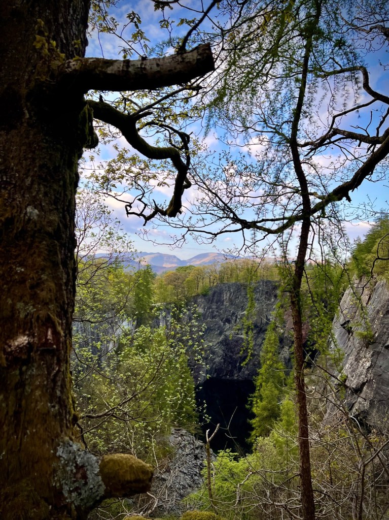 A tall tree on the left frames the entrance to the quarry down below.