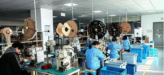 Electronics Assembly
