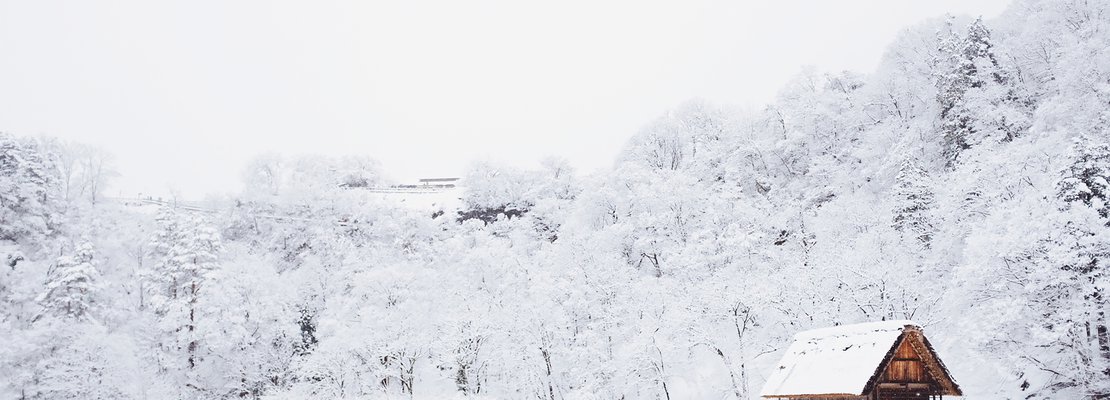 a snowfall on trees