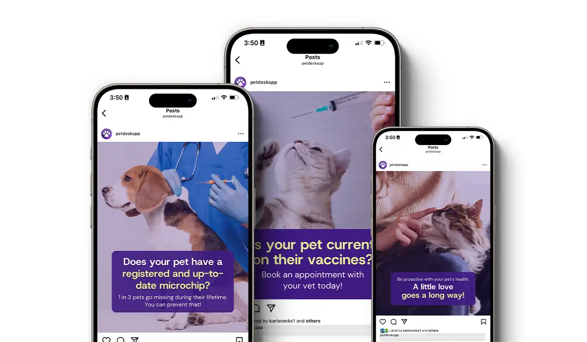 Ultimate Client Education Social Posts