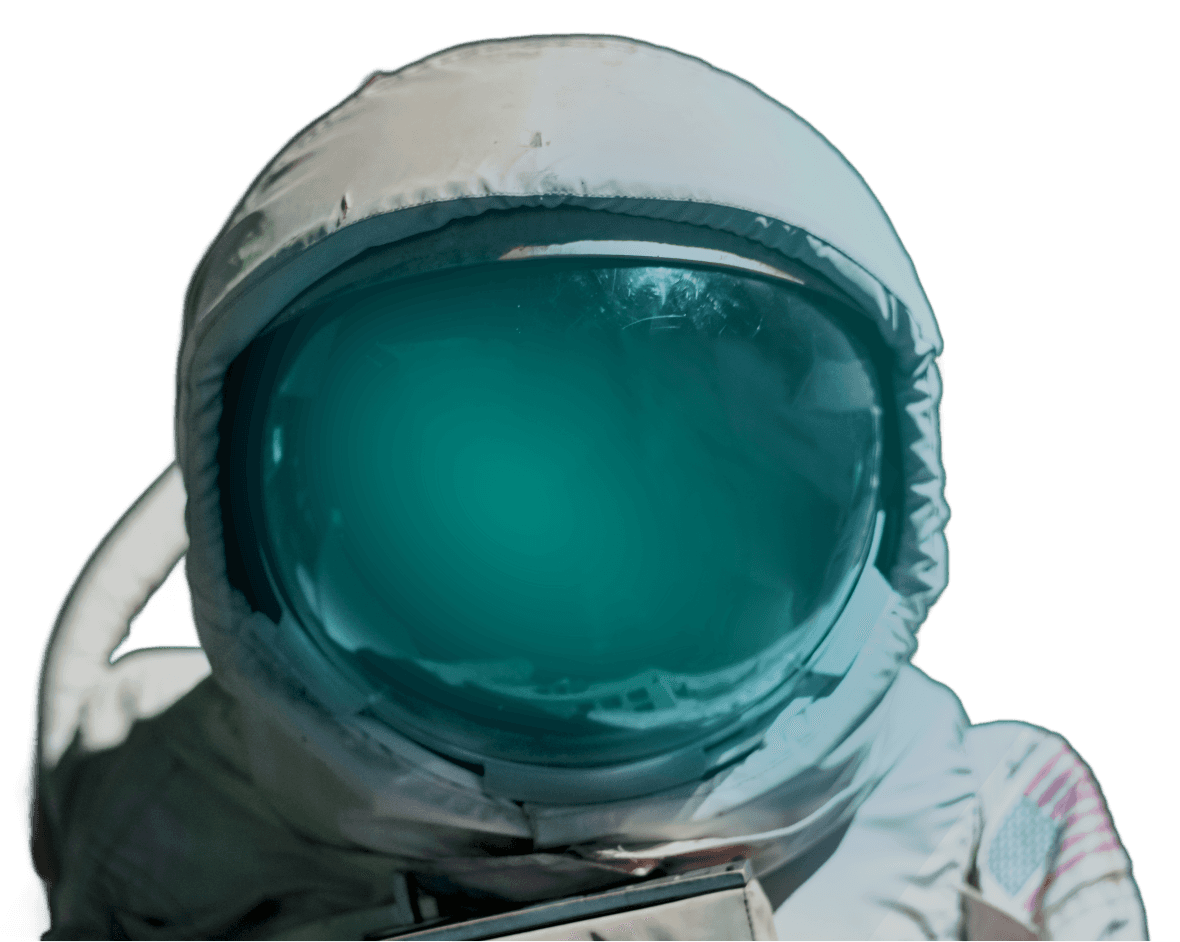 Tree branches reach towards a clear, blue sky.