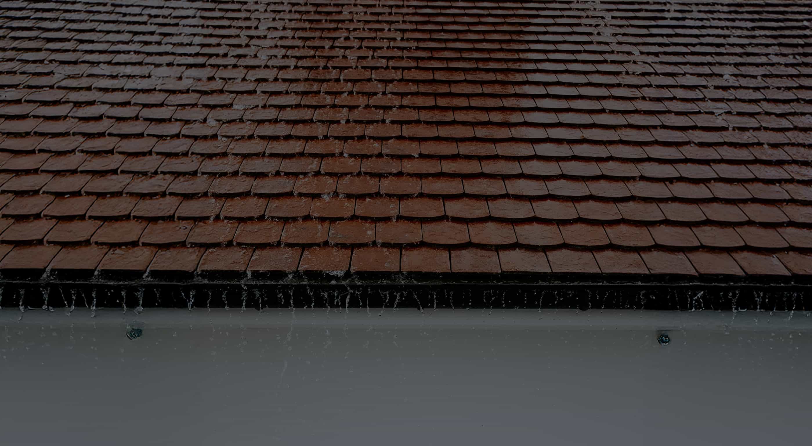 Quality Exteriors 