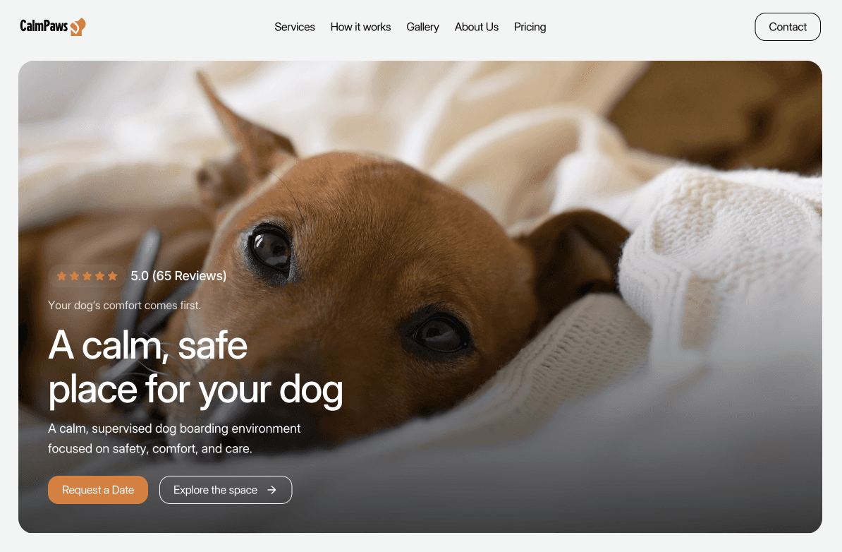 Kutyapanzió weboldal – barátságos és gondoskodó vizuális rendszer