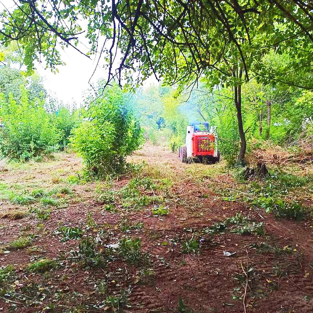 Lotes Para Todos - La Glorieta