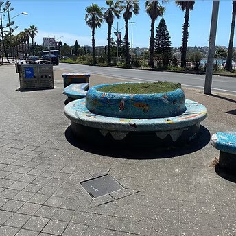 Colourful painted concrete circular bench seating near a waterfront promenade with palm trees at bondi beach