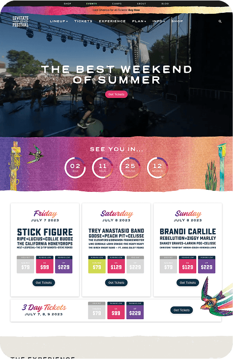 Music festival ticketing website screenshot