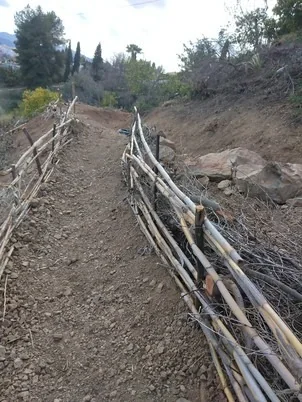 A bare earth track with a brushwood fence