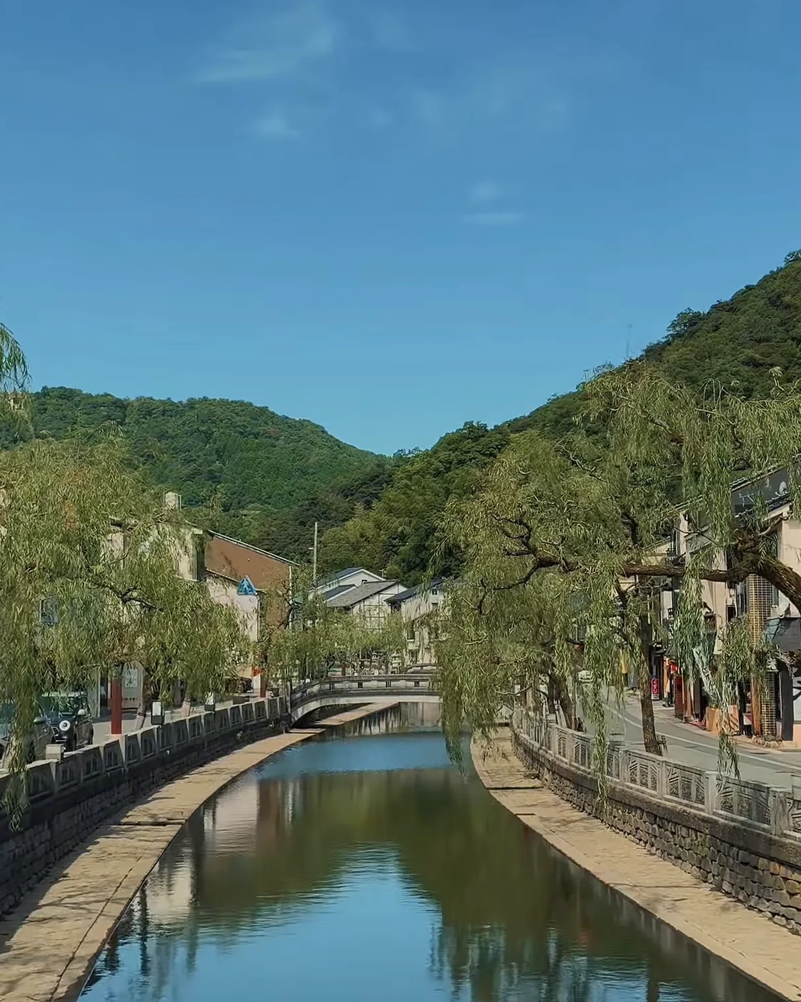 Willow branches arching over the Kinosaki canal with an inn frontage behind.