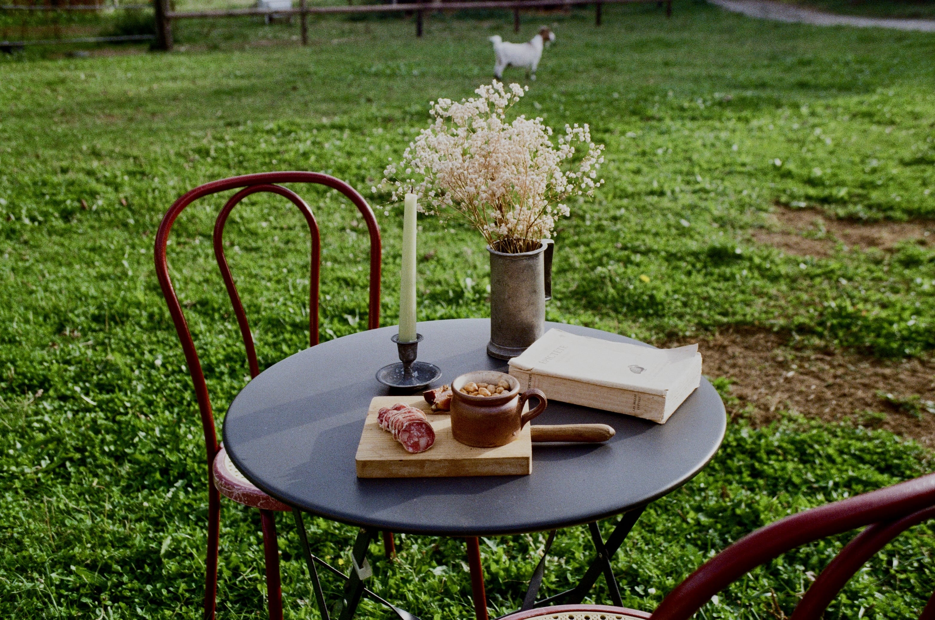 éphémères yanni terki