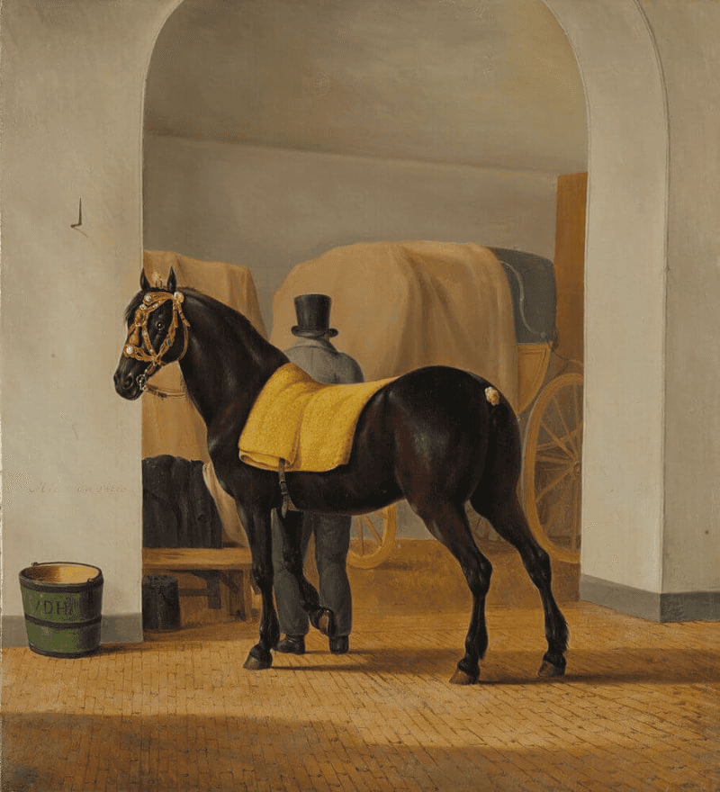 A dark horse stands beside a man in a room with a saddle on its back and a bucket nearby.