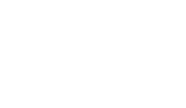 Barrière Logo