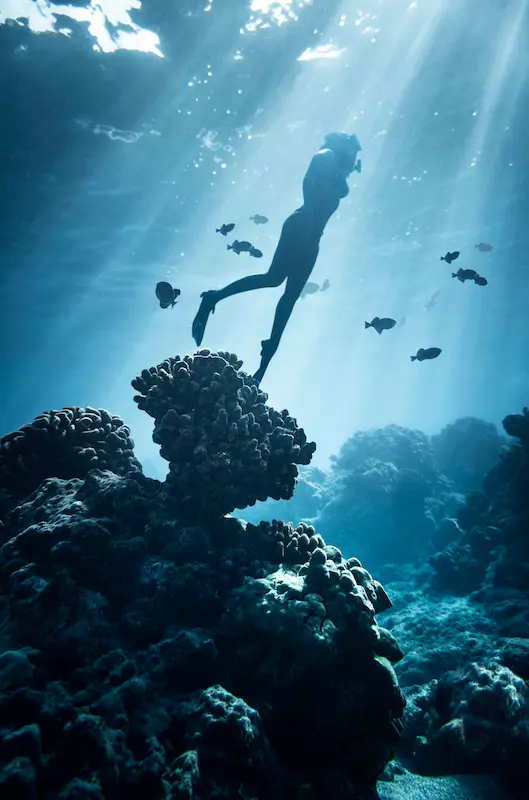 Smiling man in a blue beanie and black hoodie against a brick wall, exuding a joyful and relaxed vibe.