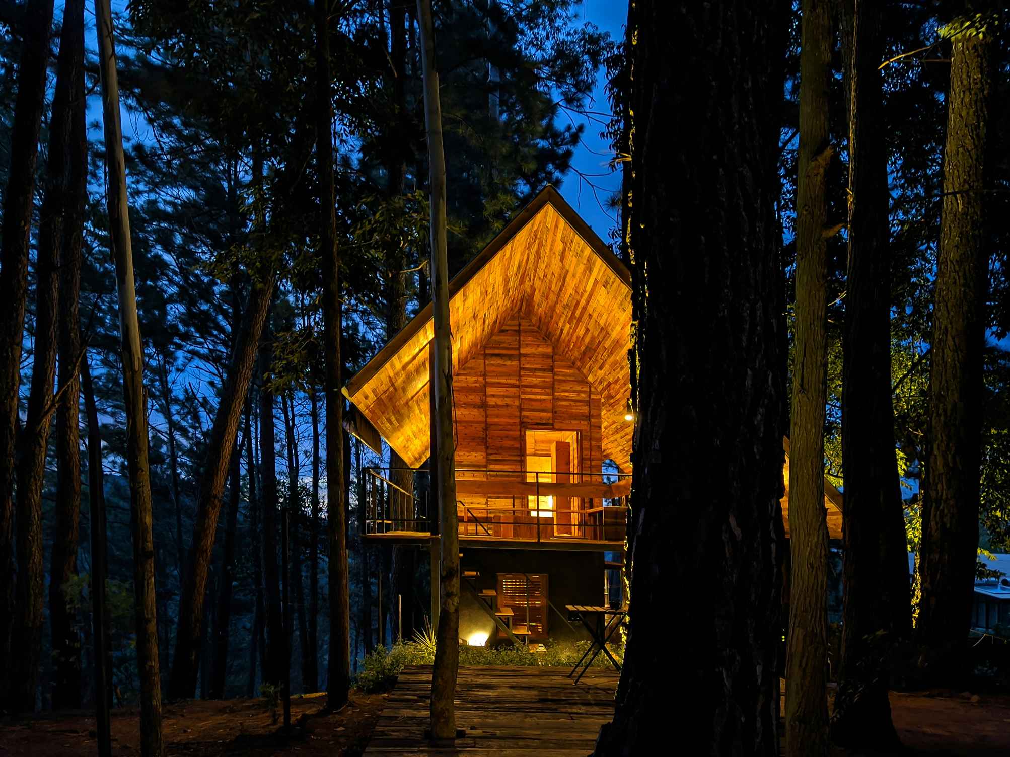 A wooden chalet lit up in a dark forest at night