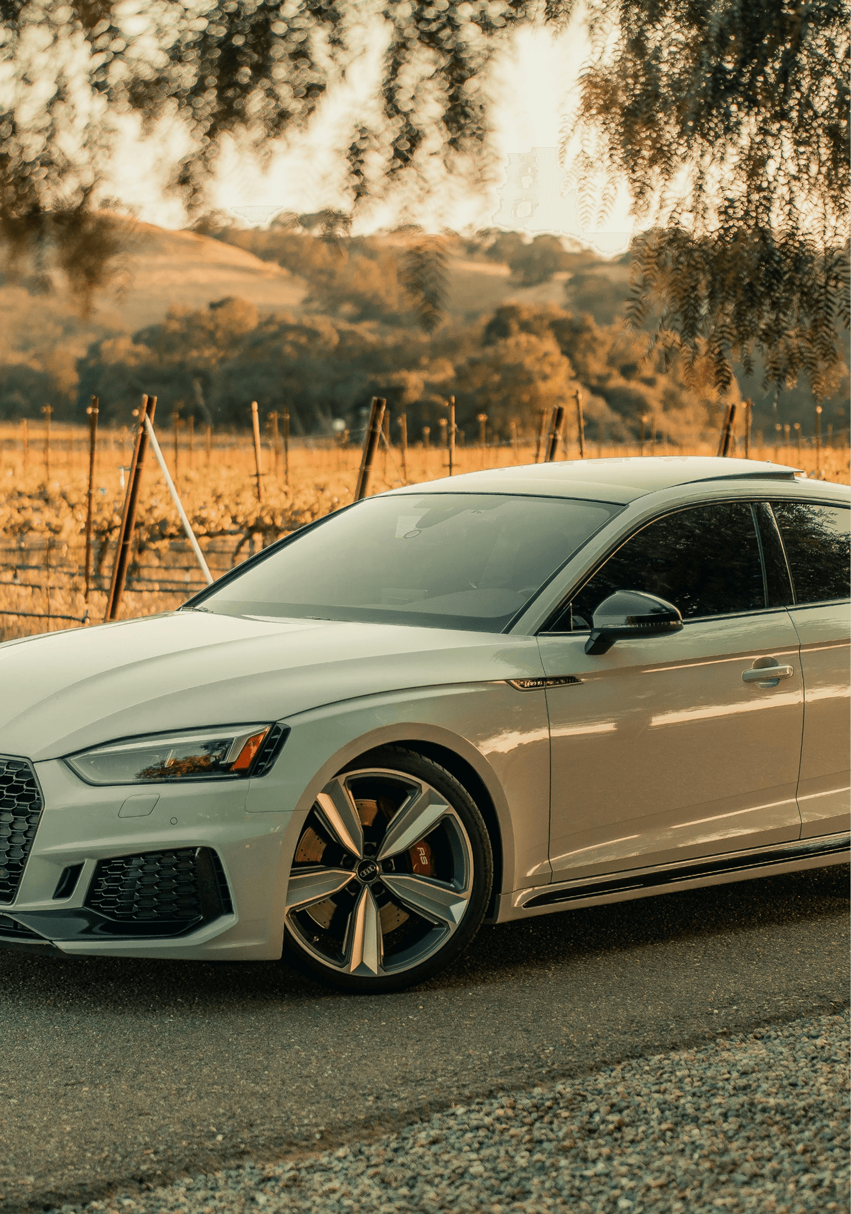 Service Details Image