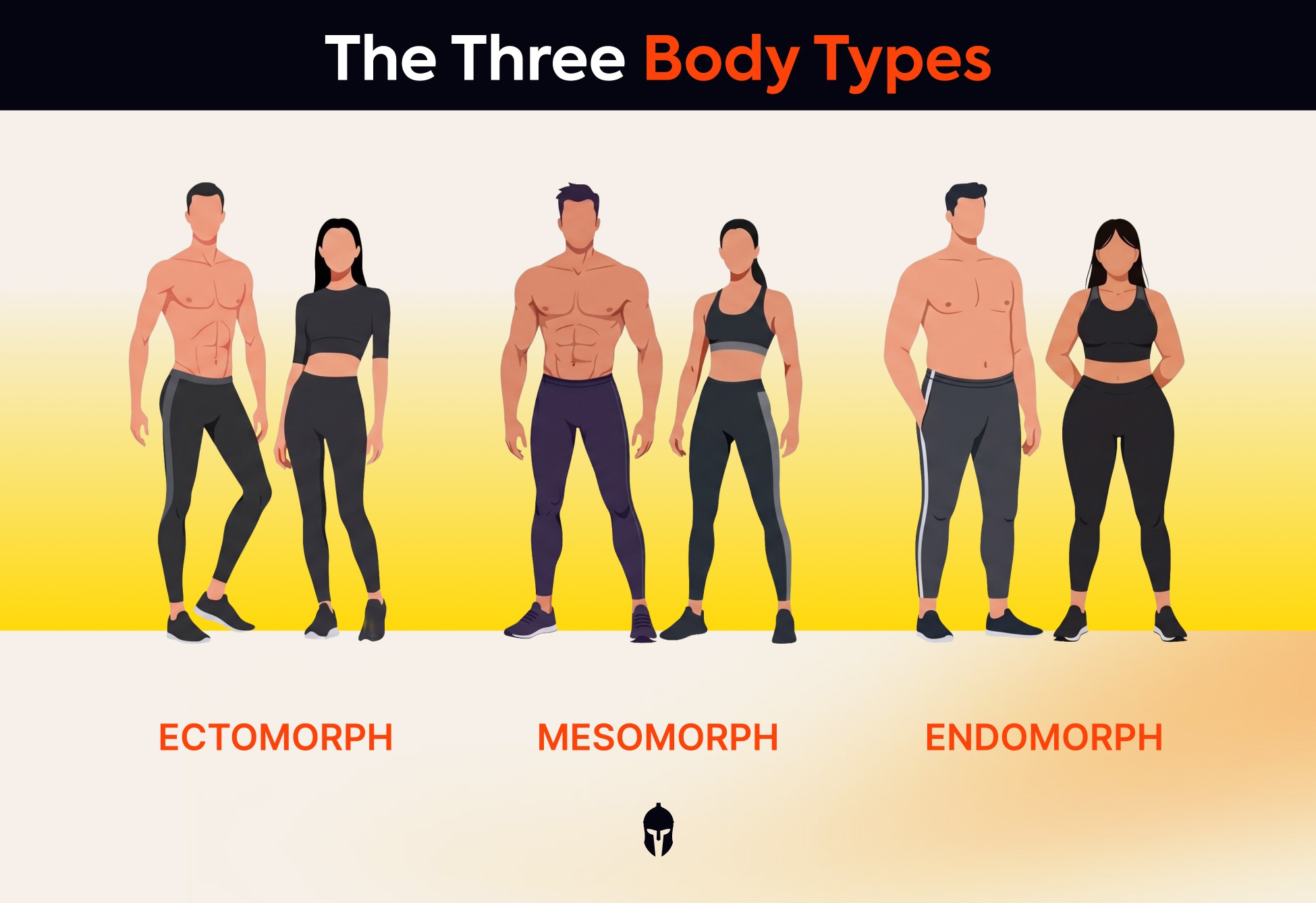 Comparing ectomorph, mesomorph, and endomorph body types in male and female figures