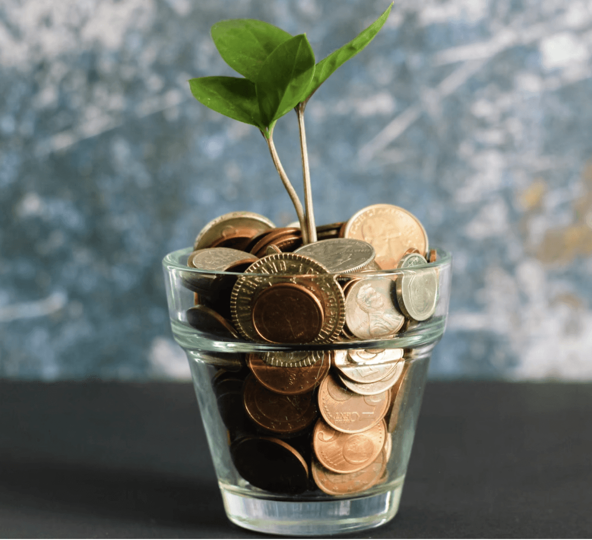 A glass jar filled with coins and a small green plant growing from the top, symbolizing growth and savings.