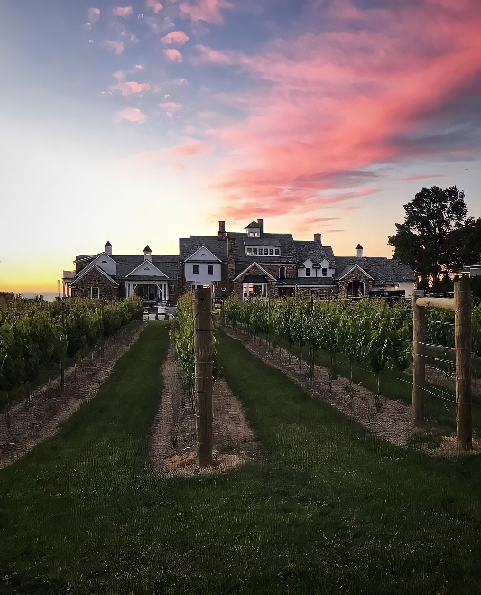 Vincent William Wine Restaurant, Wine Bar, Hotel
