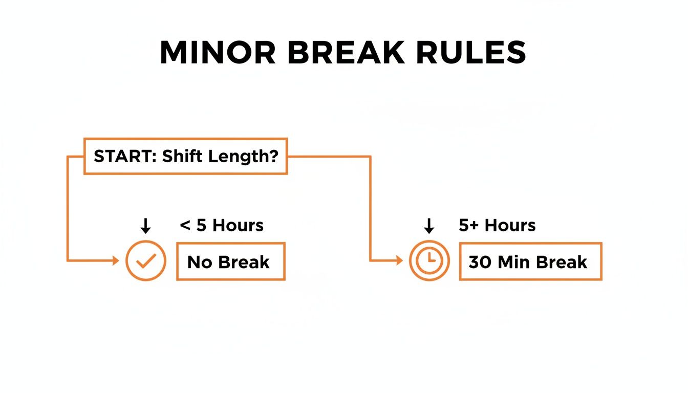 Flowchart explaining minor break rules: No break for shifts under 5 hours, 30-minute break for 5+ hours.