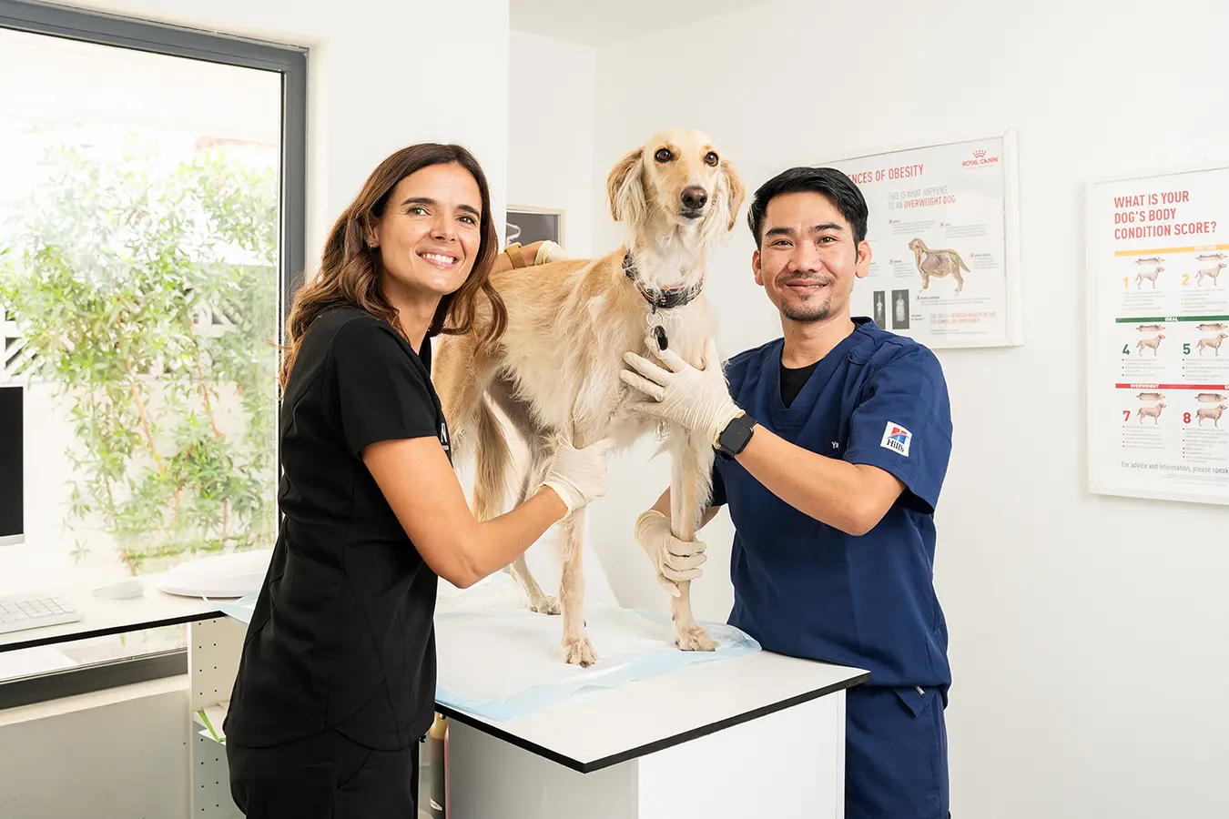 Dr. Mafalda Sardinha and Yana with a Saluki dog at Noble Vet Clinic in Dubai.