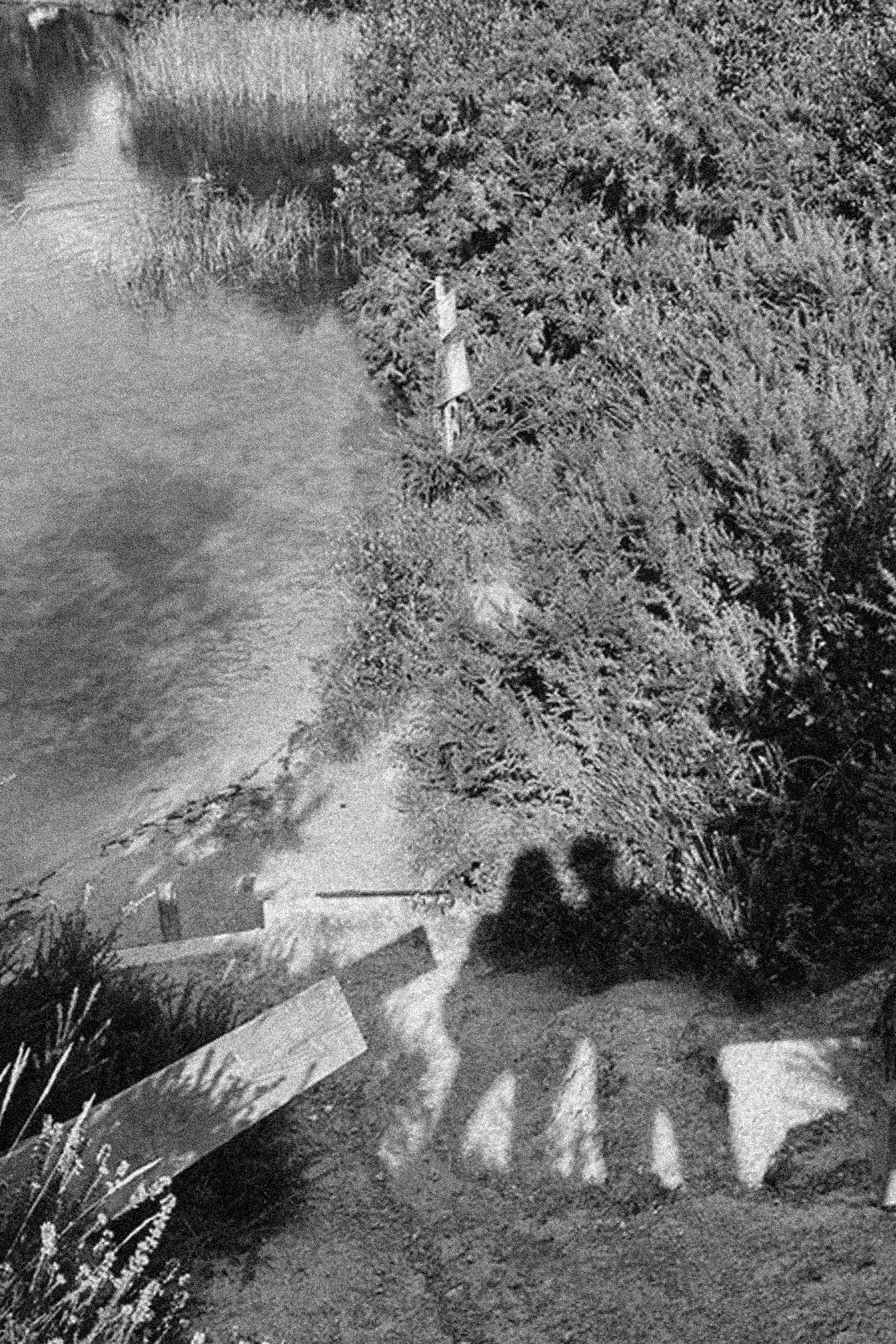 CUSTOM WORDPRESS POOLE AND WEBFLOW WEBSITE DEVELOPMENT