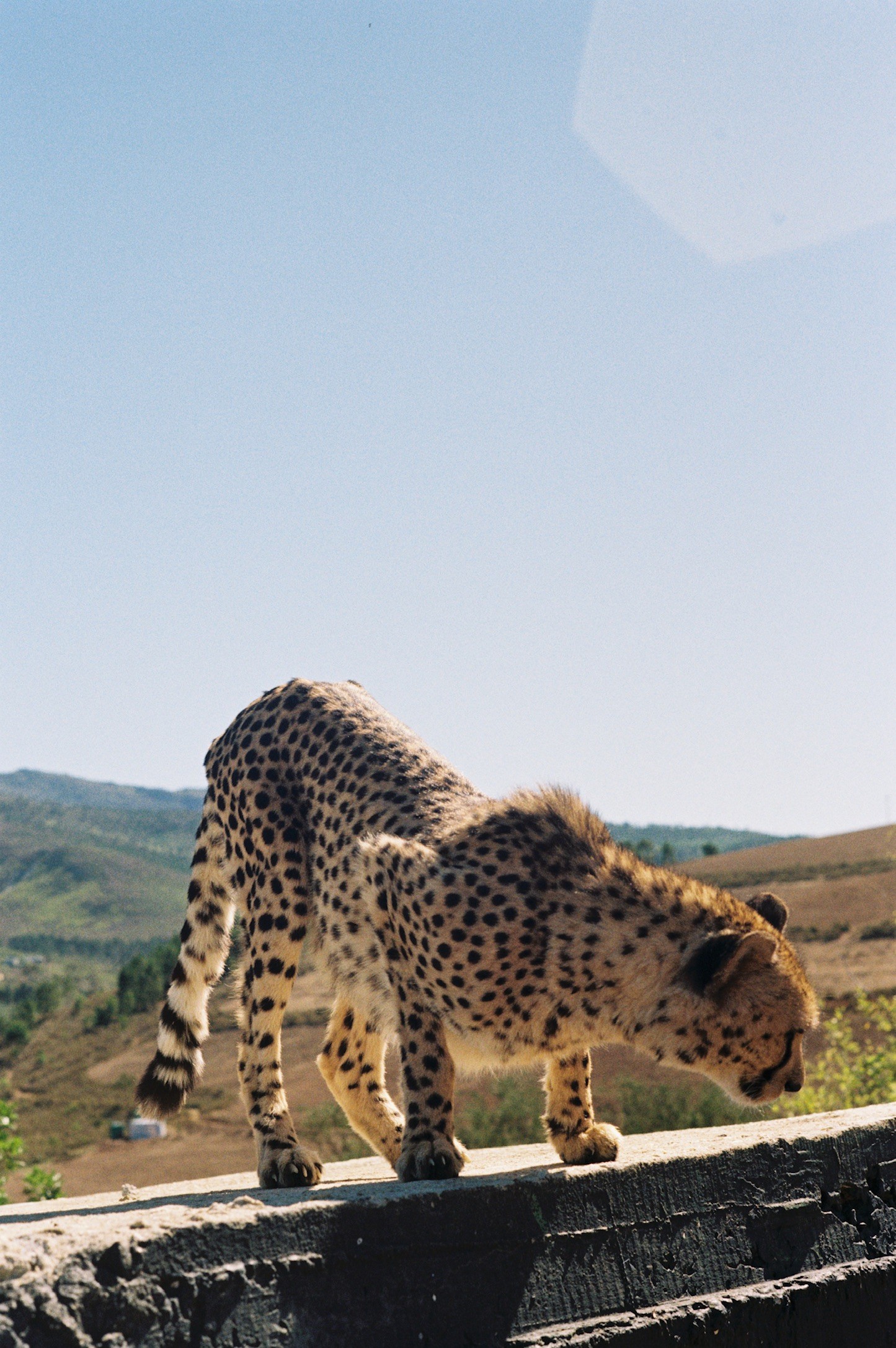 Figure 02