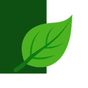 Green Leaf Icon