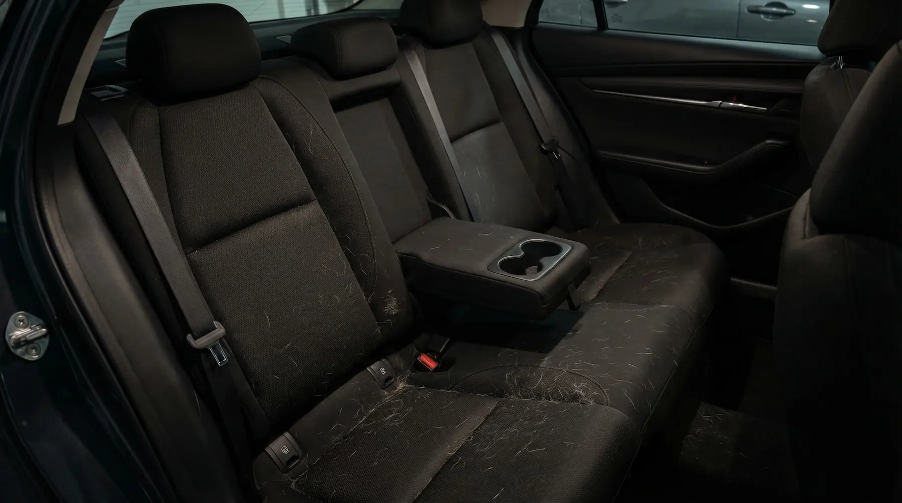 Poils d’animal sur les sièges arrière d’une voiture