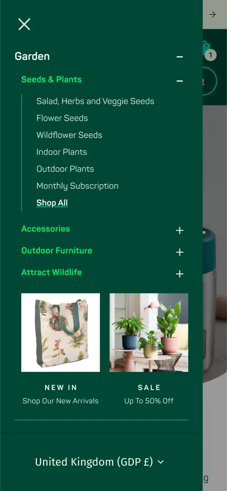 a small bird sitting on top of a large rock