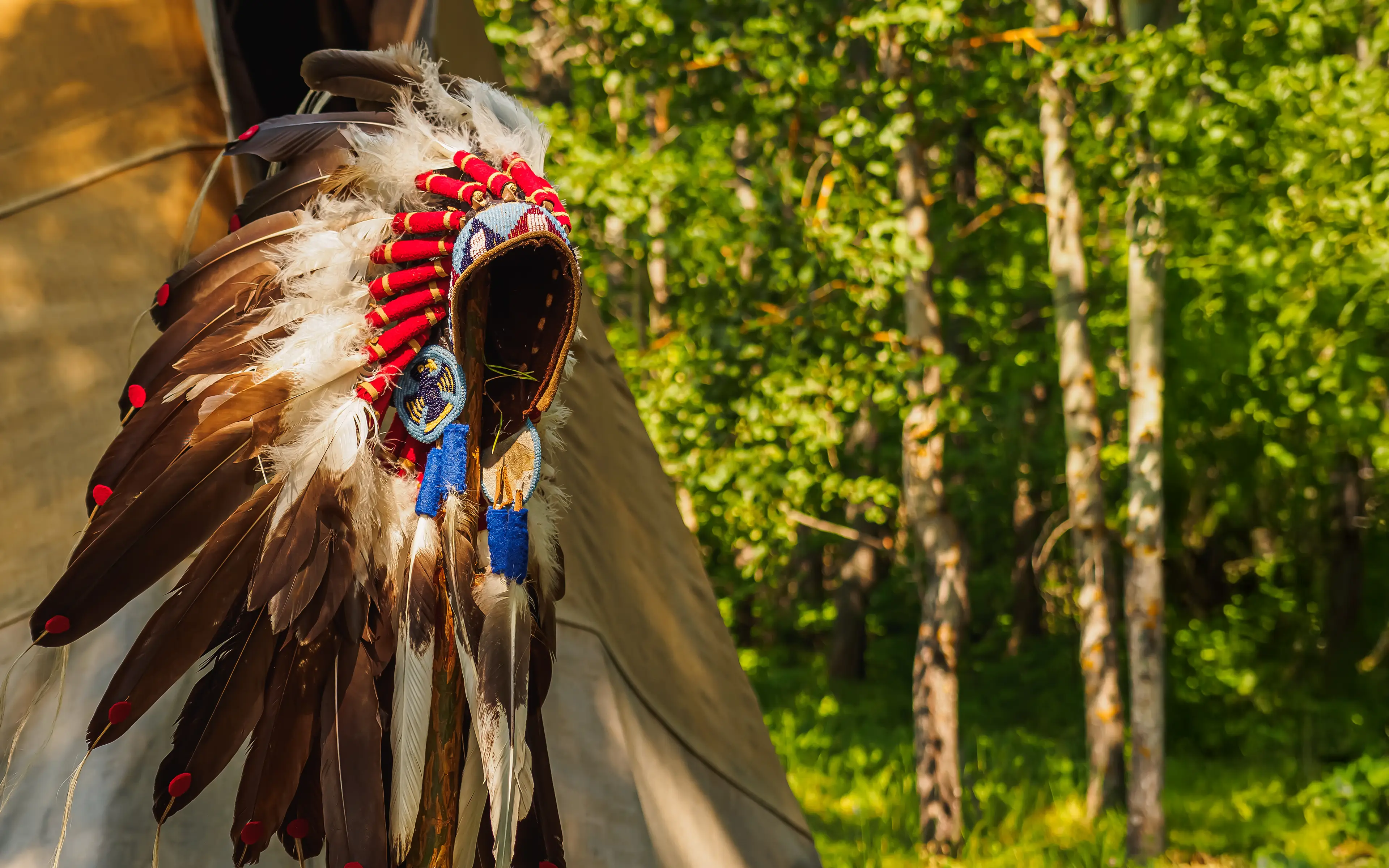 Challenge to the Canadian Indian Act in 1973