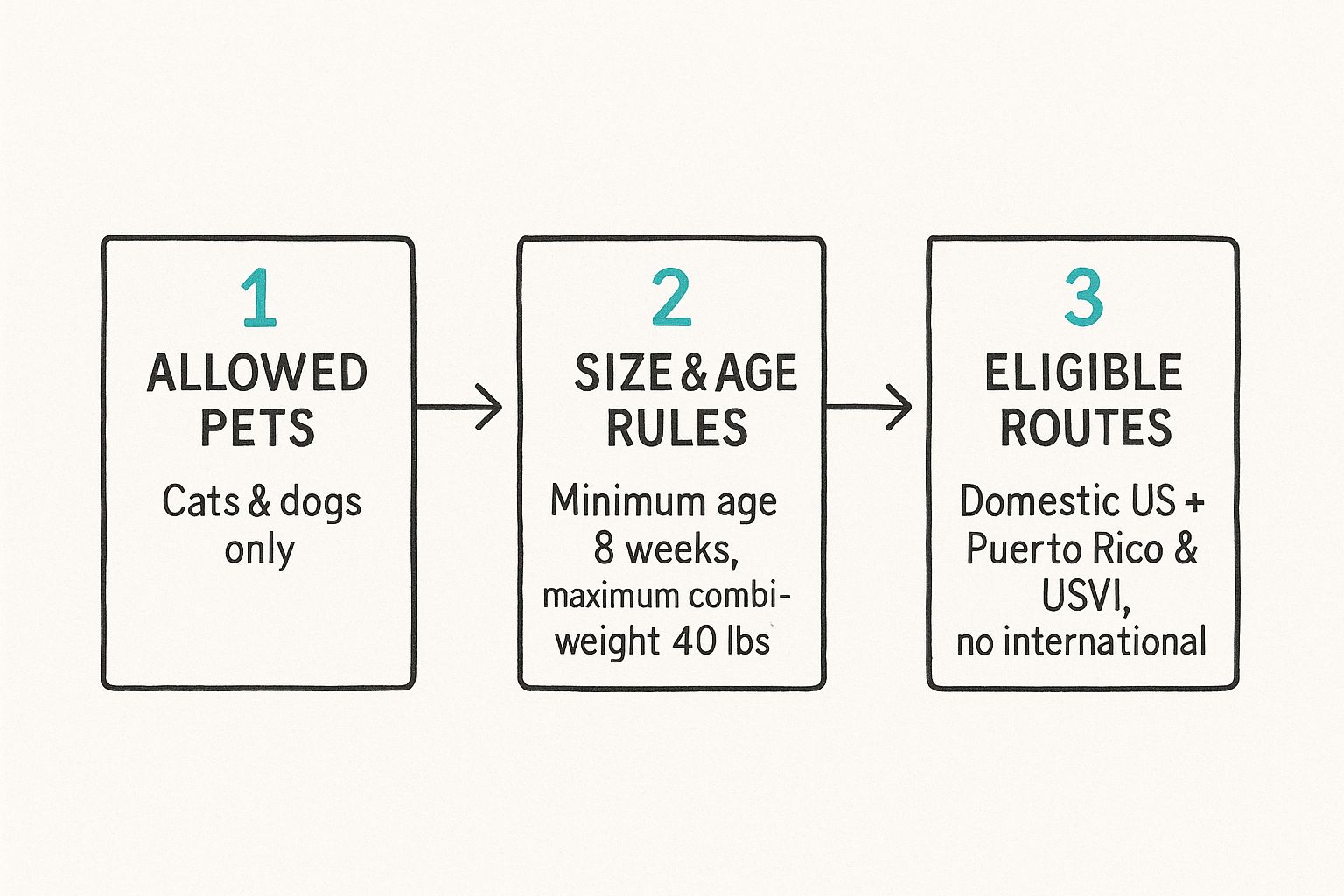 Infographic showing Spirit Airlines' pet rules: cats and dogs allowed, must be 8 weeks old and under 40 lbs, and can only fly on domestic routes.