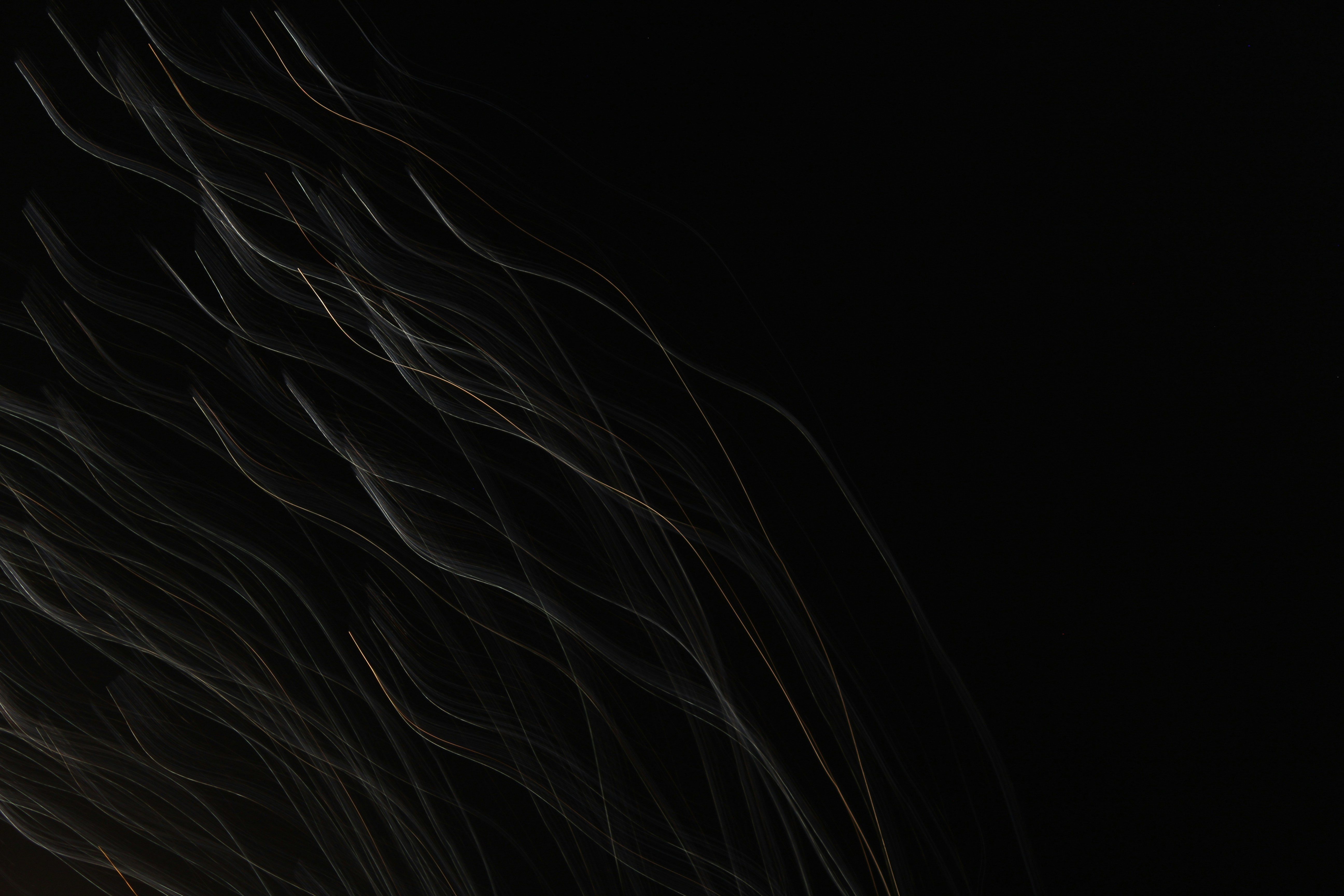 Client testimonial for Palpx Legal's services