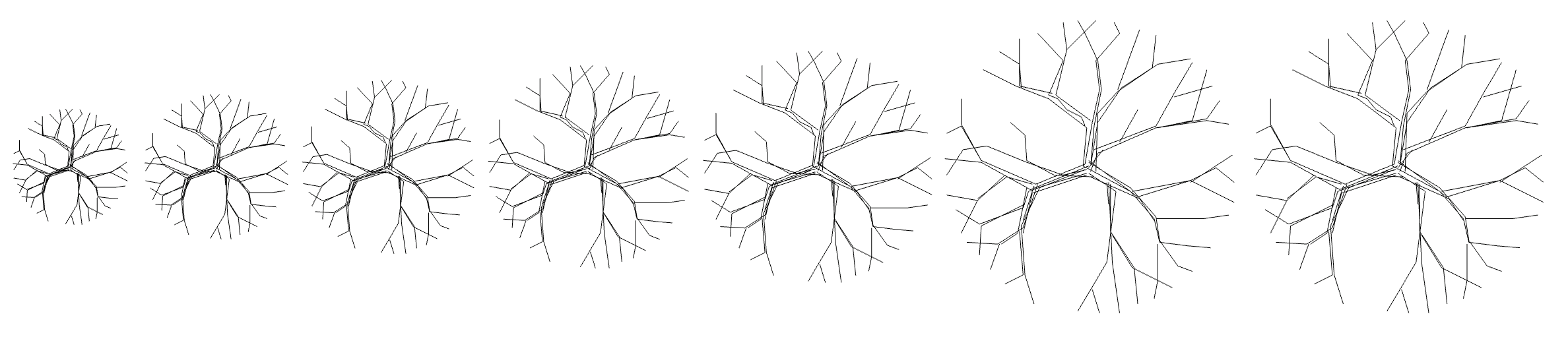 Plan view showing scaling of crown diameters in columnar trees.