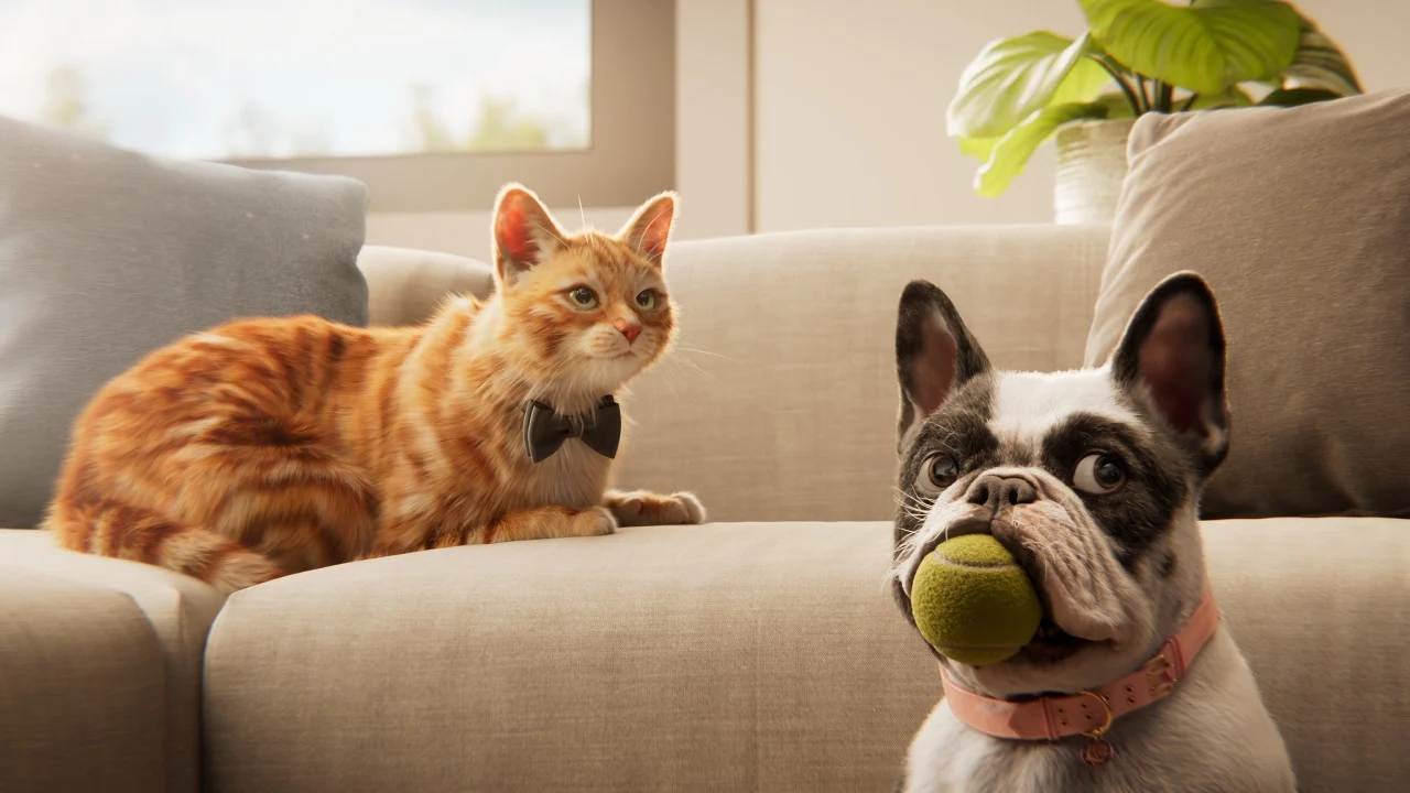 Cat and dog sitting comfortably on a couch