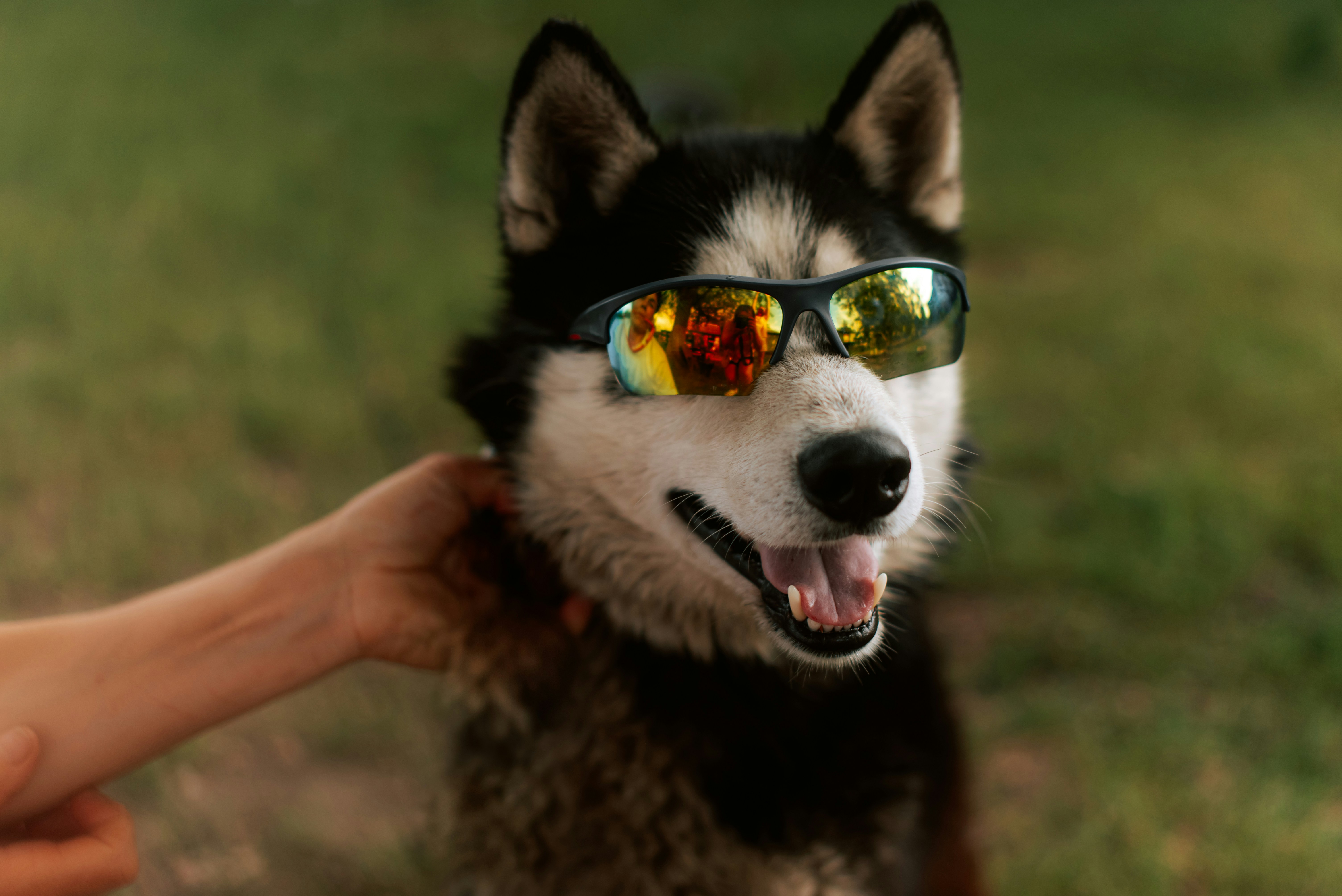 Fashion portrait photography