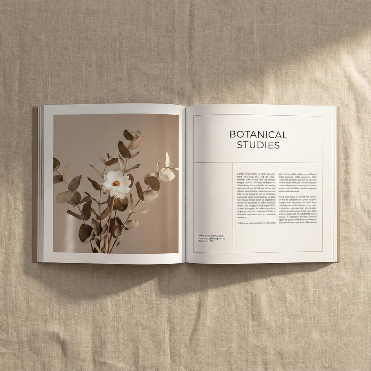 A magazine on a table