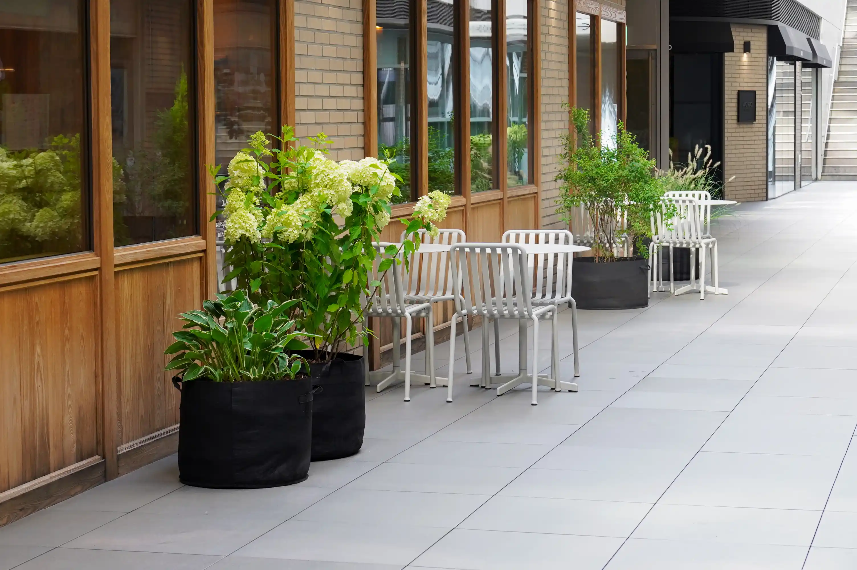 카페테리아 앞에 흰 수국과 식물 화분, 하얀 테이블이 놓여 있는 모습