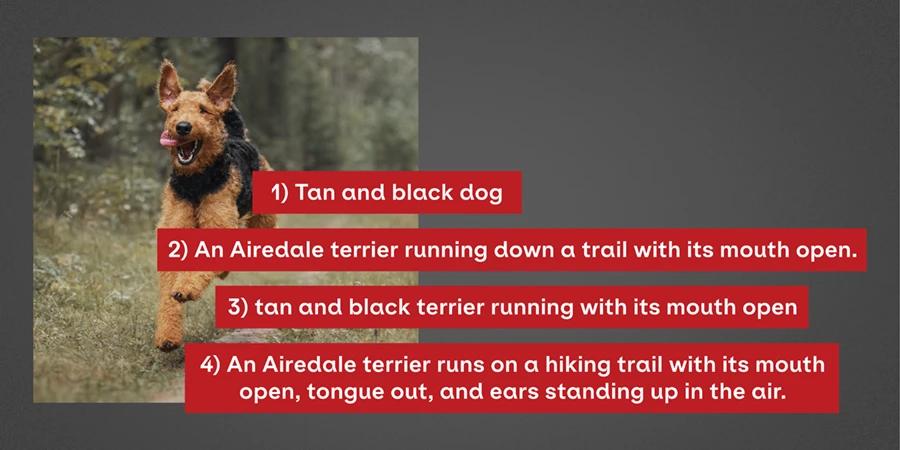 An Airedale photo with alt text ideas to describe it like, "tan and black terrier running with its mouth open"