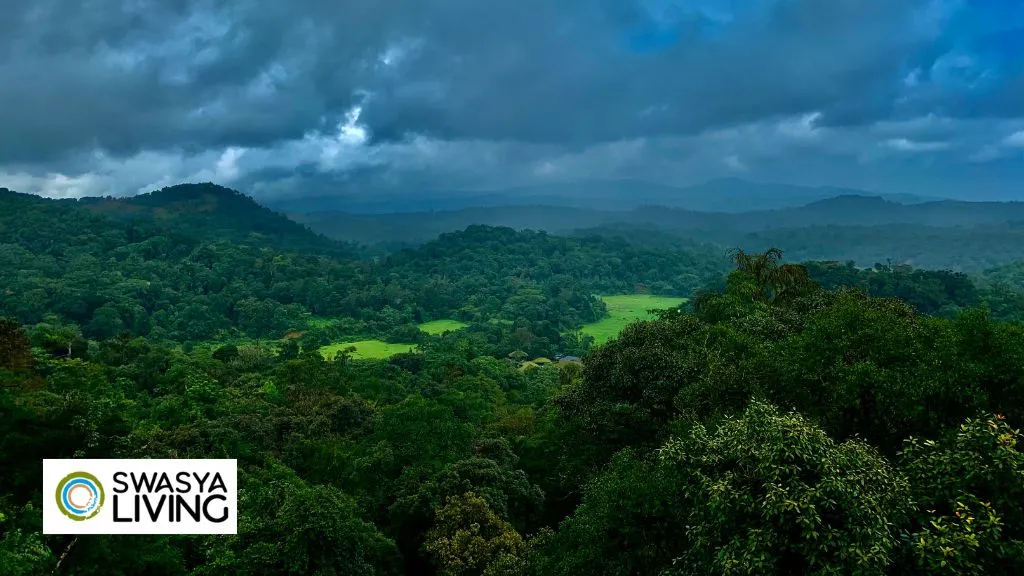 Types of Forest in Karnataka