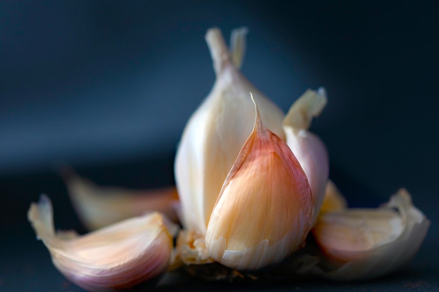 Aglio rosa