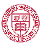 Company Icon