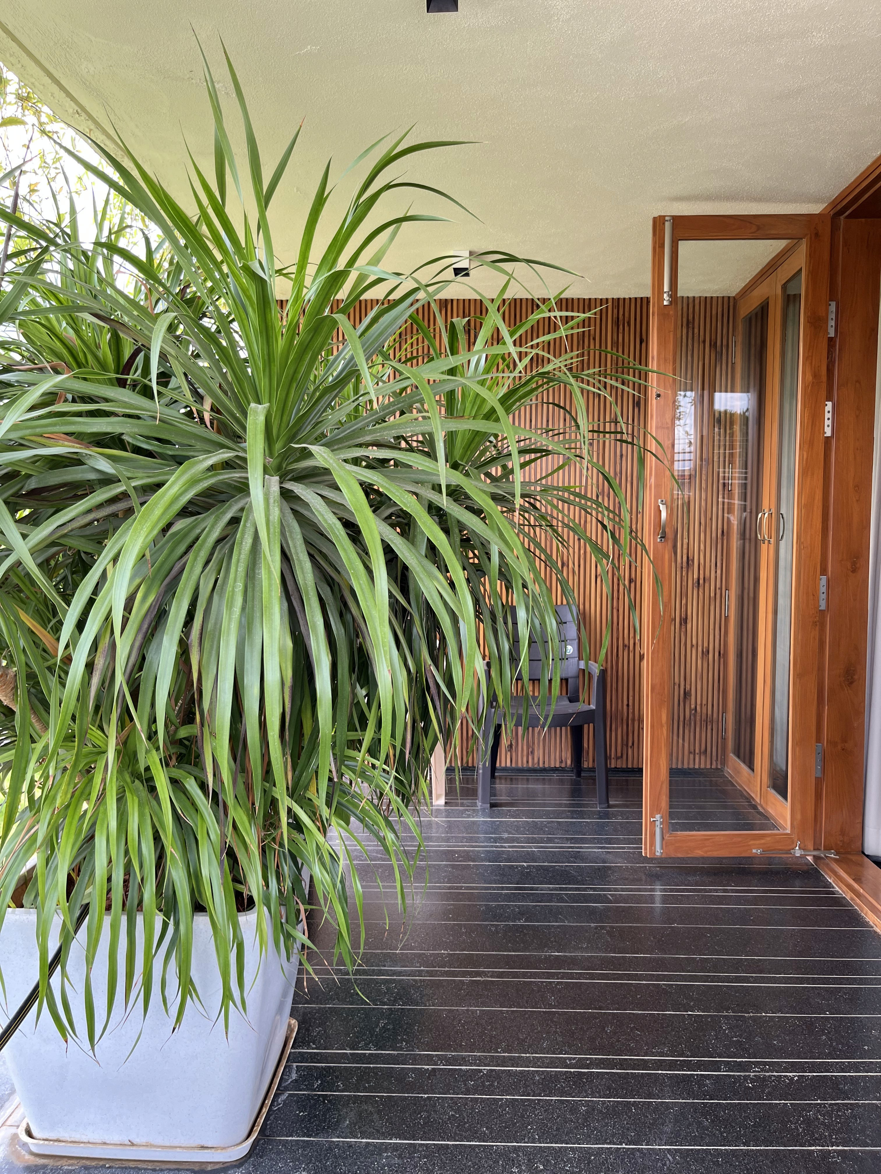 outdoor space