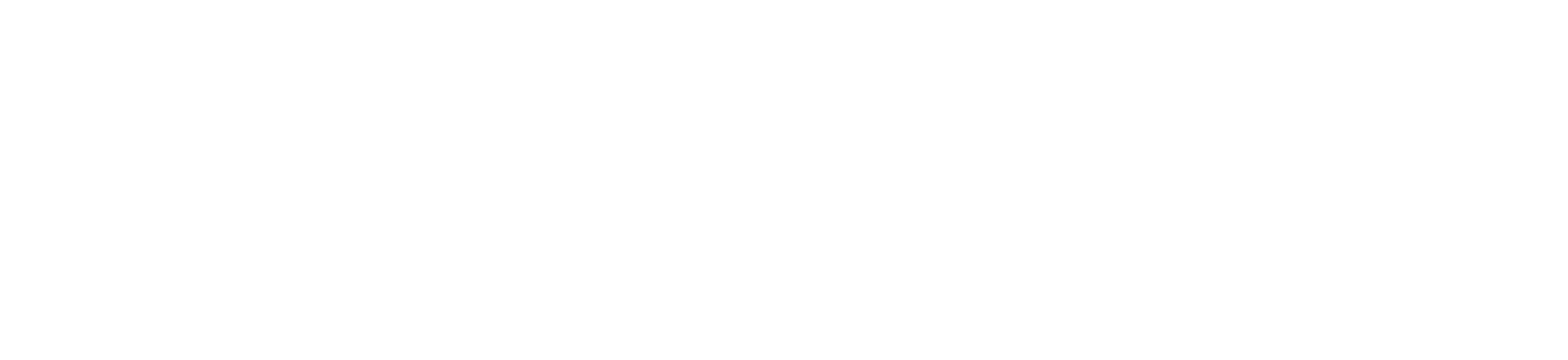 Protective Life logo