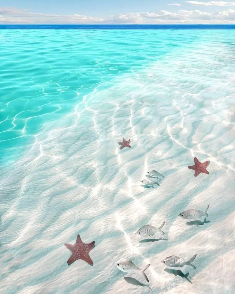 Honeymoon in Tahiti