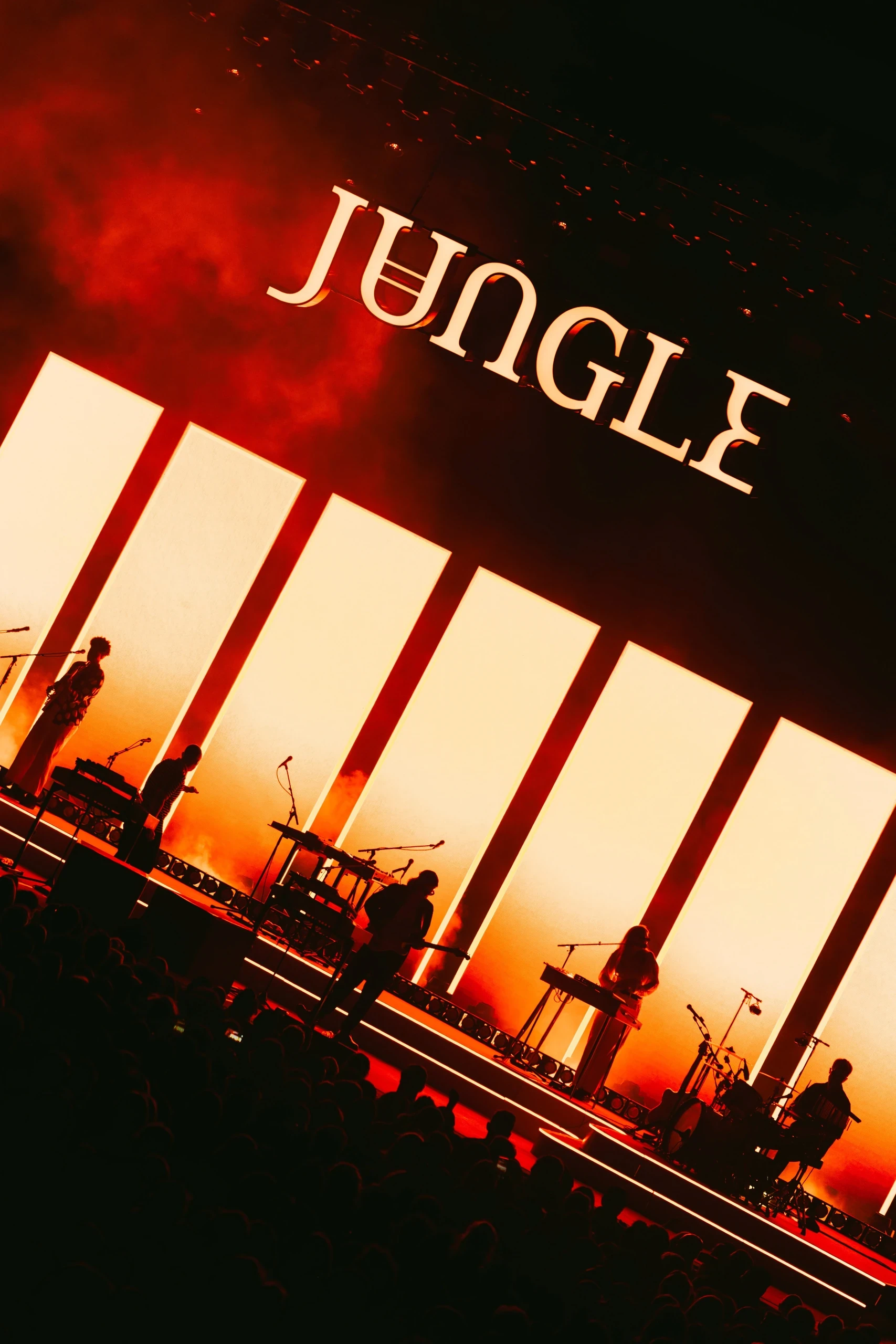 Jungle, event coverage by ANY & ALL STUDIOS