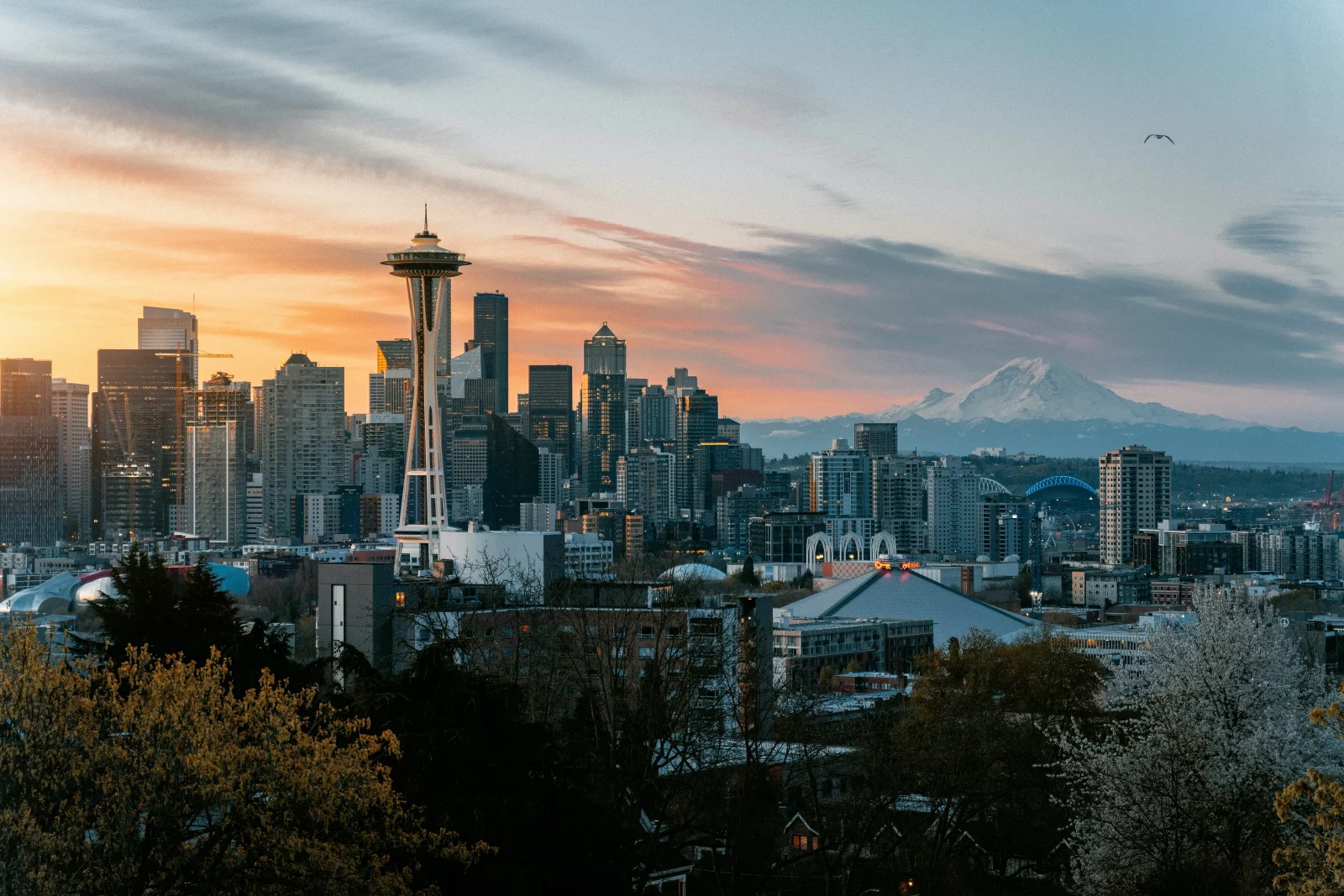 Top High-Demand Jobs for New Graduates in Seattle: Best Career Opportunities