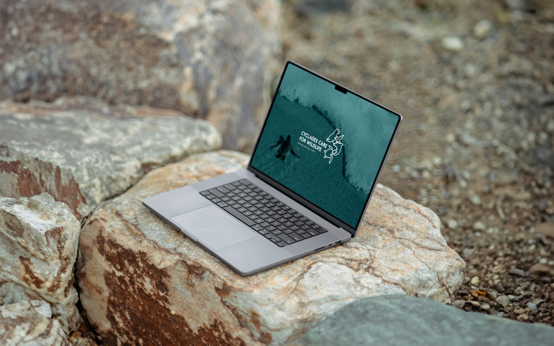 Digital application of the Cyclades Care for Wildlife identity on a laptop screen, focusing on clear content presentation