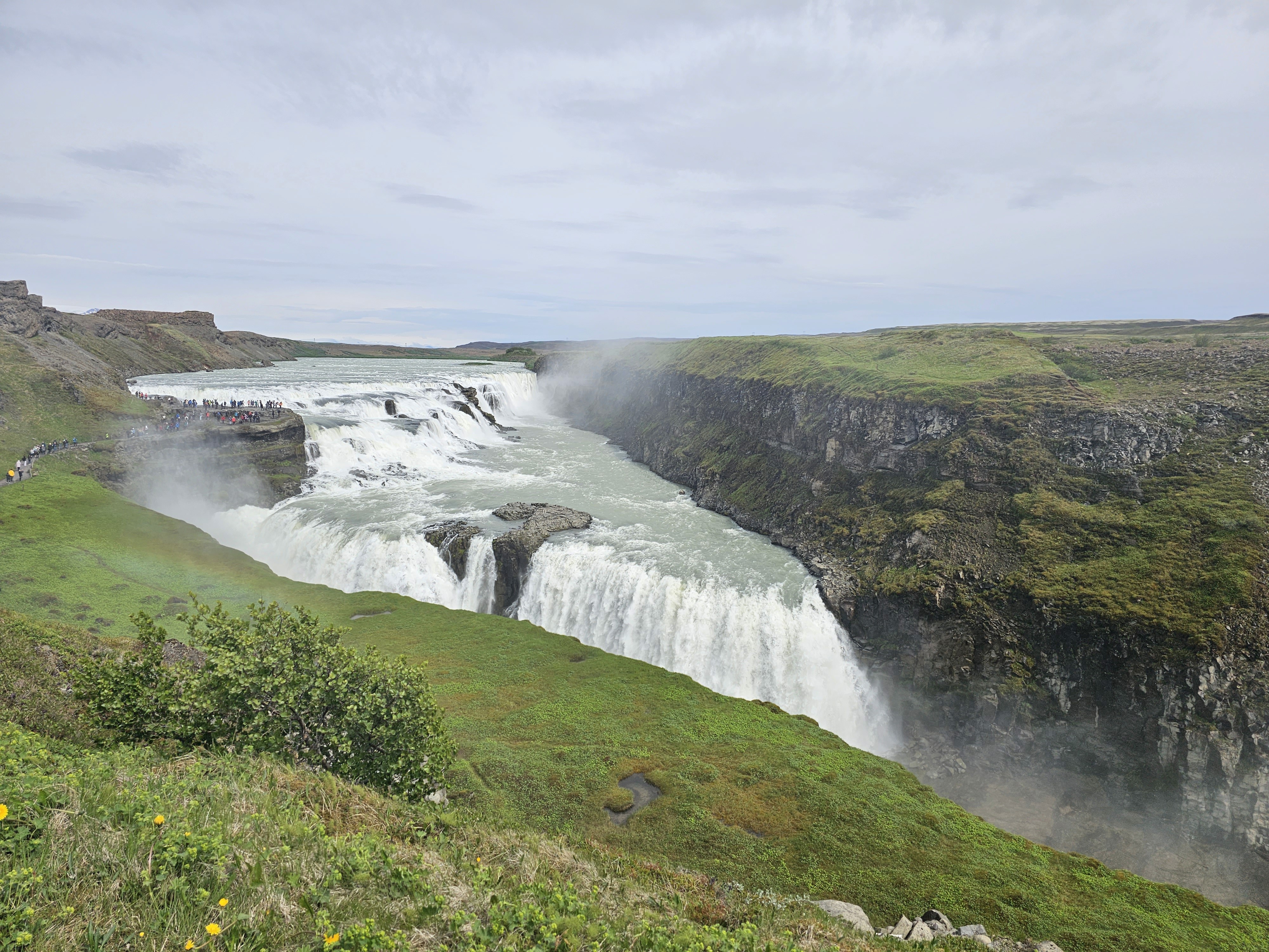 Island, Brown Trout, Arctic char, fjeldørred